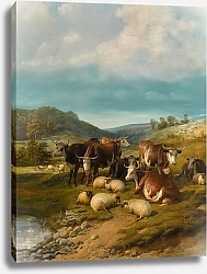 Постер Купер Томас Сидни Крупный рогатый скот и овцы на водопое