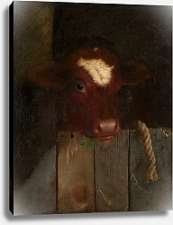 Постер Чейз Уильям The Family Cow