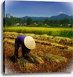 Постер Вьетнамский фермер