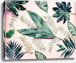 Постер Пальмовые листья разной формы на пастельно-розовом фоне
