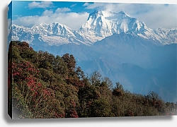 Постер Непал. Вид на гору Дхаулагири