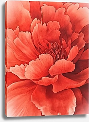 Постер Secrets of red velvet