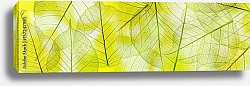 Постер Желтые прозрачные листья  1