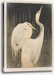 Постер Хойтема Тео Две белые цапли