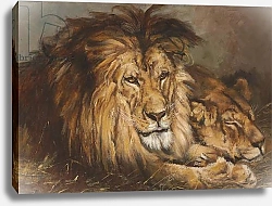 Постер Sketch for 'Lion and Lioness Resting', 1899