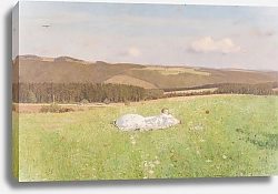 Постер Башны Эмануэль Sommeridyll