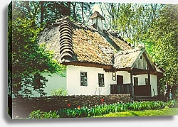 Постер Украинский дом