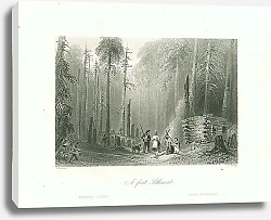 Постер A First Settlement 1