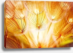 Постер Светящиеся перья