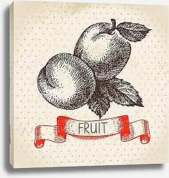 Постер Иллюстрация с абрикосами