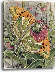 Постер Робер Поль-Андре Табак Из Испании