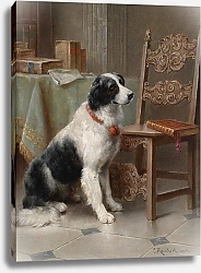 Постер Райхерт Карл Любимец семьи