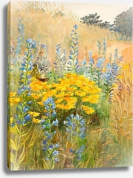 Постер Уолтер Лилли Põllulilled