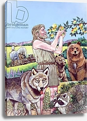 Постер Хук Ричард (дет) The 'Saint' with a Sack of Apple Seeds