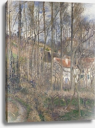 Постер Писсарро Камиль (Camille Pissarro) The C?te des B?ufs at L'Hermitage