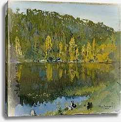 Постер Ярнефельт Ээро Лесной пруд, Ландшафтный дизайн