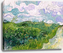 Постер Ван Гог Винсент (Vincent Van Gogh) Зеленые пшеничные поля