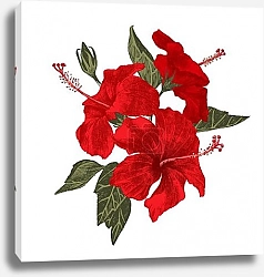 Постер Красные цветки гибискуса