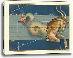 Постер Байер Иоганн Capricorn