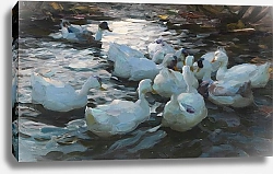 Постер Кестер Александр Одиннадцать уток в воде