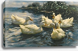 Постер Кестер Александр Шесть уток