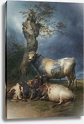 Постер Купер Томас Сидни Покой