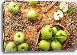 Постер Зеленые сочные яблоки 