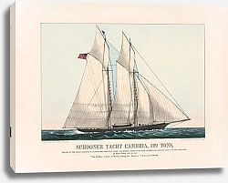 Постер Куррье&Ивес Schooner yacht Cambria, 199 tons