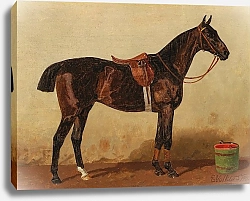 Постер Волкерс Эмиль Оседланный гнедой конь в конюшне
