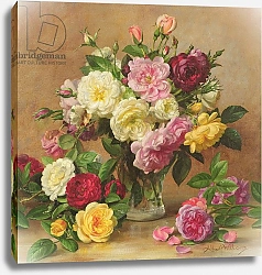 Постер Уильямс Альберт (совр) AB/305/2 Old Fashioned Victorian Roses, 1995