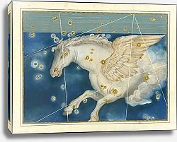 Постер Байер Иоганн Pegasus