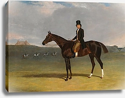 Постер Херринг Джон Джон Кент, Тренер 5-Го Герцога Ричмонда, На Ньюмаркет-Хит