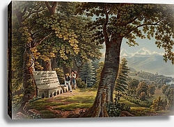 Постер Лори Габриэль Младшая Vue prise dans le petit bois nommé le Bächihölzli près de Thoune