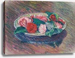 Постер Панкевич Юзеф Камелии в вазе