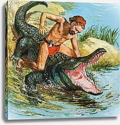 Постер Школа: Английская 20в. Louis, the Desert Island Castaway, attacking a crocodile
