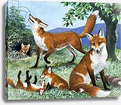 Постер Дэвис Р. (жив, дет) Our Island's Hunters, from 'Nature's Kingdom'