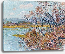 Постер Баум Поль Überschwemmung bei Hyères mit Baumgestrüpp und Schilfgras am Ufer