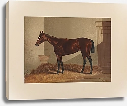 Постер Сталл Генри Тора