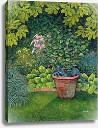 Постер Дитц (совр) The Flower-Pot Cat