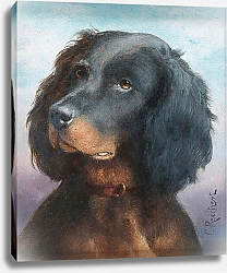 Постер Райхерт Карл Вопросительный взгляд