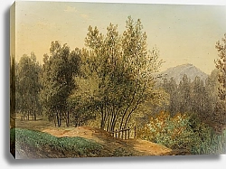 Постер Тома Маттиас Landscape