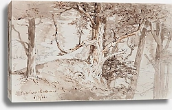 Постер Шевалье Николас Березы на Марароа