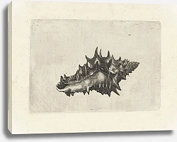 Постер Холлар Вецеслаус (грав) Ceramic vase