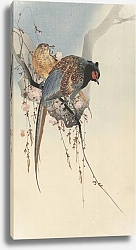 Постер Косон Охара Pheasant couple and plum blossom