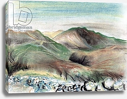 Постер Бут Александр Винсент (совр) Hills in the Lake District, 2005,