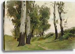 Постер Сомов Константин Тропинка между березами
