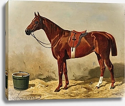 Постер Волкерс Эмиль Engl. Vollblutstute