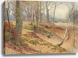 Постер Уоттс Джеймс Томас Silver Birch and Beech Wood in Autumn