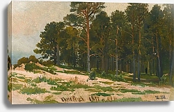 Постер Шишкин Иван Сосновый лес