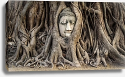 Постер Голова Будды в корнях дерева, Аюттхая, Таиланд